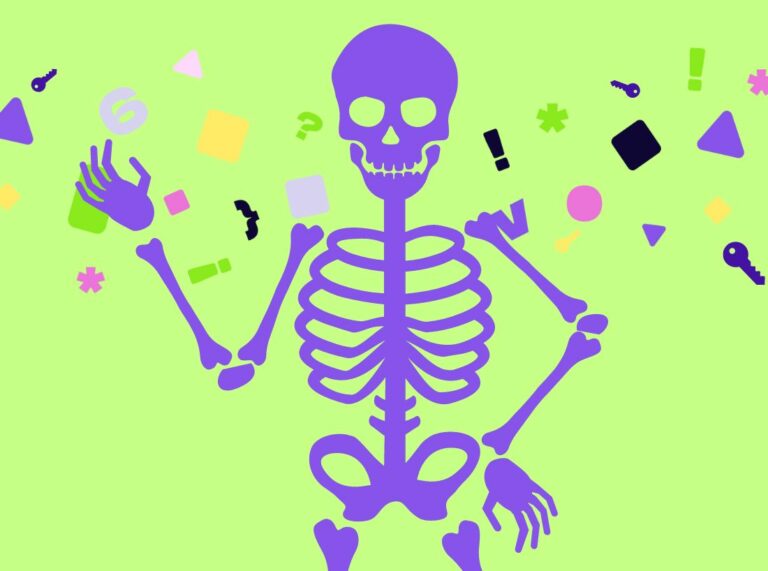 anatomy blg