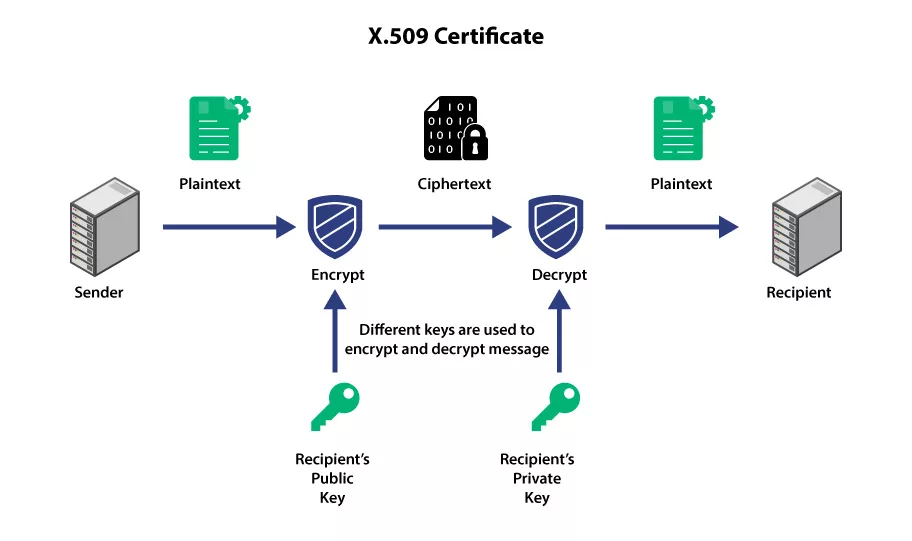 x.509 certificate