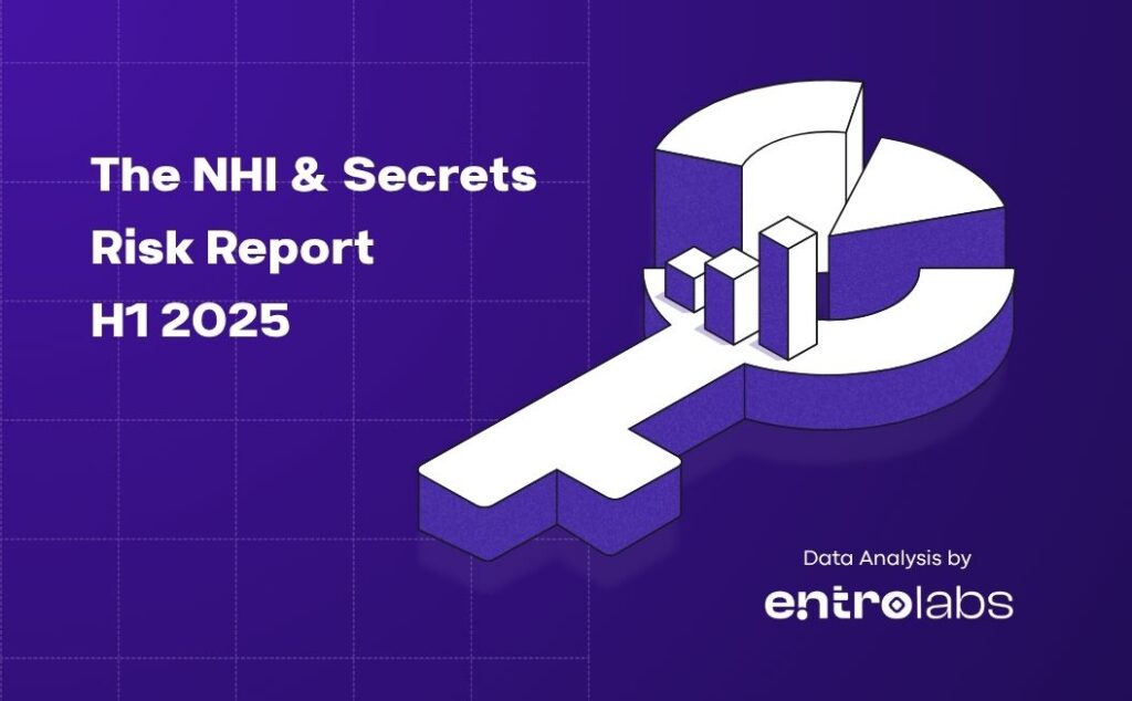 NHI & Secrets Risk Report