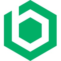 brinqa_logo